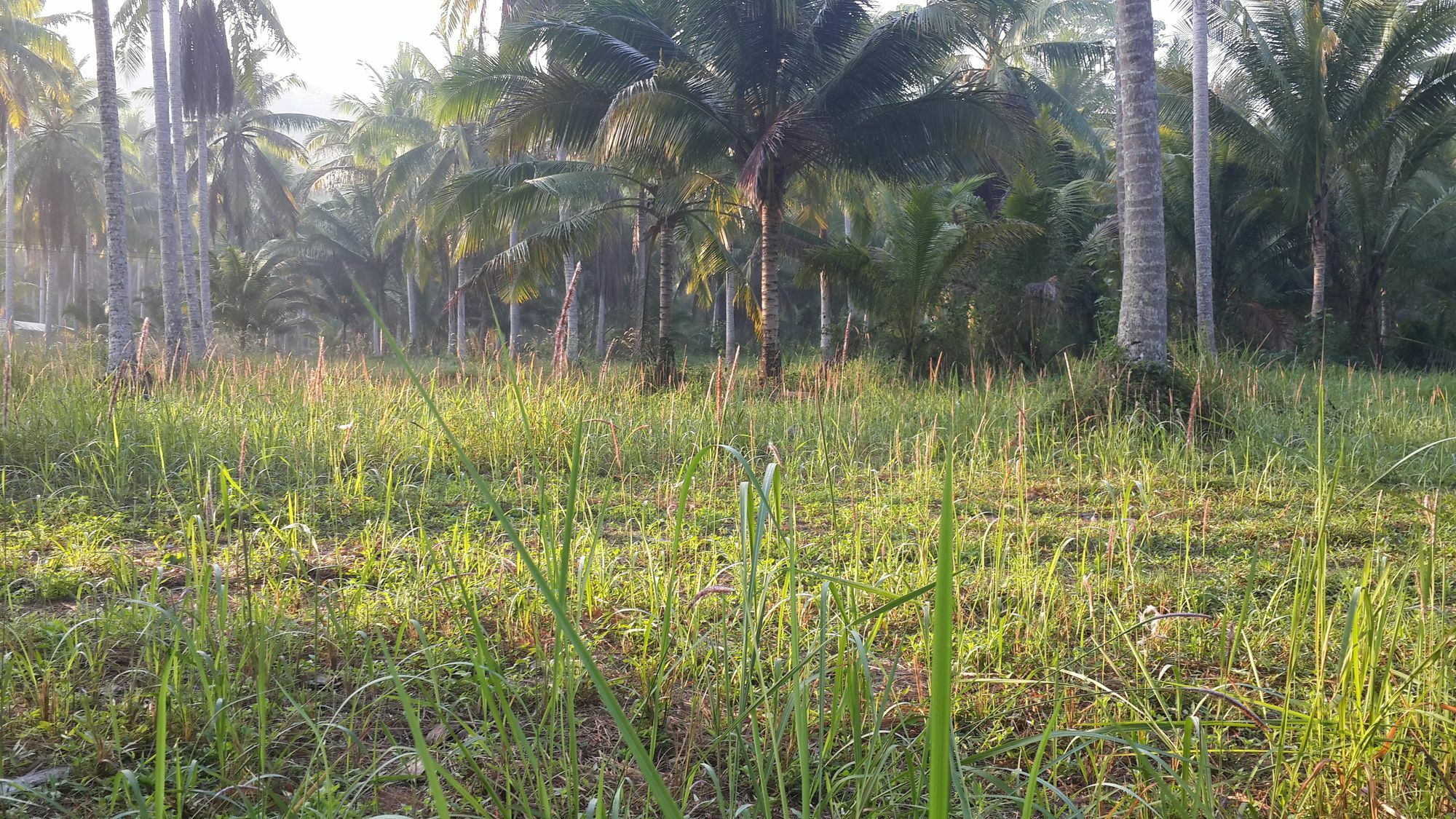 Hotel Baan Phuean Koh Kood Ko Kut Exteriér fotografie