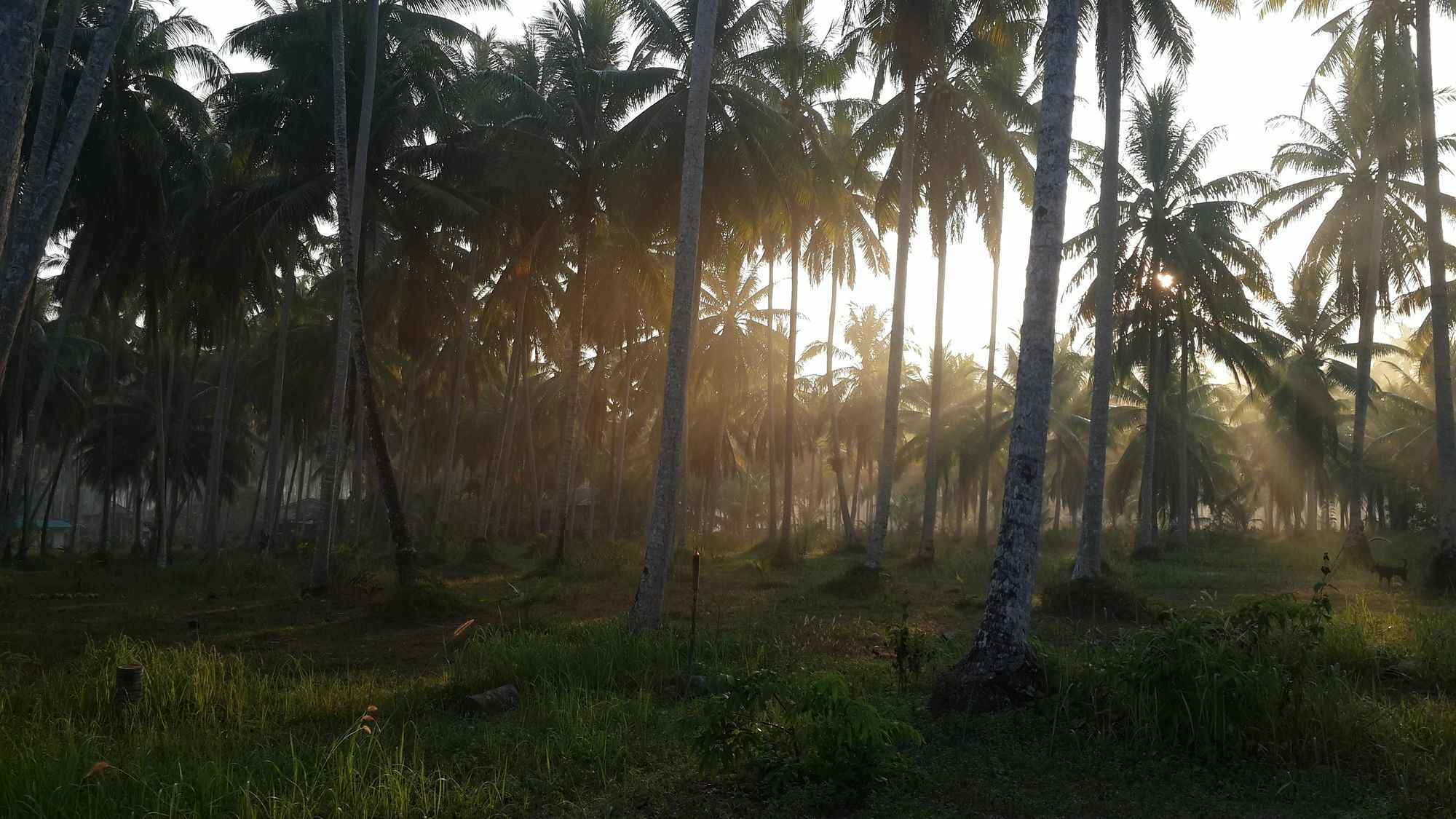 Hotel Baan Phuean Koh Kood Ko Kut Exteriér fotografie